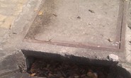 Phải mạnh tay với trộm đăng chắn rác