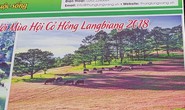 Ban tổ chức Mùa hội cỏ hồng Langbiang bị tố “xài chùa” hình ảnh