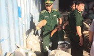 Chủ tịch Đà Nẵng khen thưởng vụ bắt giữ hơn 10 tấn ngà voi nhập lậu