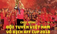 Cùng Báo Người Lao Động chúc mừng tuyển Việt Nam vô địch AFF CUP 2018