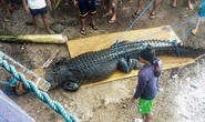 Bắt cá sấu nặng nửa tấn nghi ăn thịt người