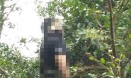 Lên núi, tá hỏa phát hiện thi thể người đàn ông cùng lá thư tuyệt mệnh