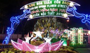 Ngắm đường hoa Xuân “hải sản” đặc sắc ở Côn Đảo