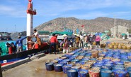 Ngư dân Ninh Thuận trúng đậm cá cơm sau Tết