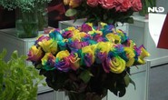 Ngắm hoa hồng 7 màu, hoa lan mini tại triển lãm quốc tế về nông nghiệp