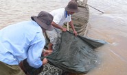 Mất sinh kế vì đập thủy điện