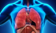 Phát hiện mạng chất lỏng là đường ung thư di căn