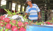 Trung Quốc siết nhập khẩu trái cây từ Việt Nam
