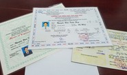 Đang bị điều tra vẫn làm giả hàng loạt bằng cấp để xin việc làm