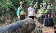 Rừng tan hoang, hạt trưởng kiểm lâm ở Quảng Nam mất chức