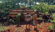 Lật xe máy cày chở đầy gỗ, 3 người thương vong
