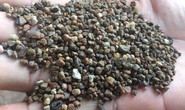 Xử lý hình sự vụ cà phê nhuộm than pin?