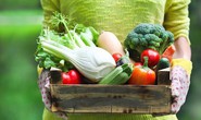 Ăn thêm cơm có thể khiến bạn… giảm cân