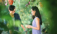 Ngồi khóc trên cây của Nguyễn Nhật Ánh lên phim