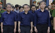 Bà Hứa Thị Phấn lãnh 30 năm tù