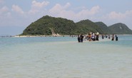 Sẽ tạm dừng mọi hoạt động giao dịch đất ở đặc khu Bắc Vân Phong
