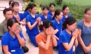 Xôn xao cảnh hàng chục giáo viên mầm non quỳ khóc xin tiếp tục dạy trẻ