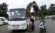 “Cò đặc sản” Đà Lạt lại bùng phát