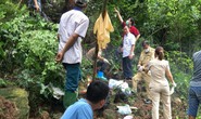 Phát hiện thi thể phân hủy mạnh, chỉ còn bộ xương