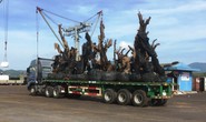 Công ty Hải Sơn lên tiếng về việc vận chuyển các cây tiểu quái thú