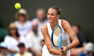 Pliskova bị loại, tứ kết Wimbledon sạch bóng top 10