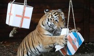 Soi kèo mới nhất trận bán kết Anh - Croatia