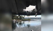 Hawaii: Hơn 20 du khách bị thương vì “bom dung nham”