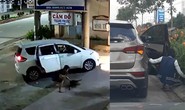 [Video] Dùng xe hơi để đi trộm chó và cây cảnh