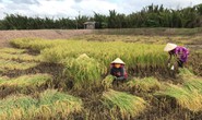 Công ty nông sản hữu cơ vốn 0 đồng kêu gọi thành công 10 tỉ đồng: Chúng tôi cần người đồng hành