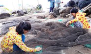 Miền Tây lo lũ lớn bất thường