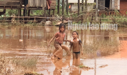 THẢM HOẠ VỠ ĐẬP THUỶ ĐIỆN: Động vật chết khắp nơi, trẻ em lội bùn nhận cứu trợ