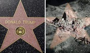 Ngôi sao của Tổng thống Donald Trump trên Đại lộ danh vọng bị đập nát
