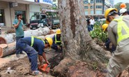Đề xuất mở rộng loại công việc được sử dụng lao động là người chưa thành niên