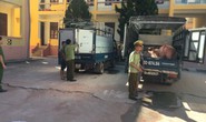 Heo Trung Quốc tuồn vào Việt Nam