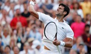 Lịch THTT thể thao cuối tuần: Hấp dẫn chung kết Wimbledon 2019