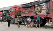 Lật mặt nông sản Trung Quốc nhái hàng Đà Lạt