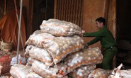 Liên tiếp phát hiện các điểm hóa kiếp nông sản Trung Quốc thành Đà Lạt
