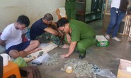 Bắt chủ đại lý kinh doanh cỏ Mỹ