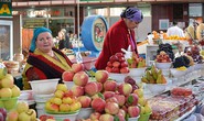 Phát triển nông nghiệp hữu cơ để lấn sân thị trường thượng lưu