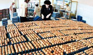 Ba Huân muốn hủy hợp tác với VinaCapital