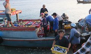 Sướng mắt với chợ cá tươi roi rói vào buổi sớm mai ở Bãi Phủ