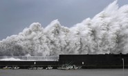 Bão mạnh nhất 25 năm đổ bộ, Nhật Bản “nín thở”