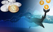 ‘Cá voi’ thức giấc - thị trường Bitcoin sắp biến động lớn?