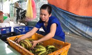 Chương trình “Xuân nhân ái - Tết yêu thương” (*): Sống vui, sống có ích