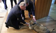 Tổng thống Putin được tặng quà đặc biệt ở Serbia