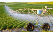 Kiều bào về quê đầu tư nông nghiệp thông minh