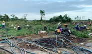 Tự ý san ủi vườn tiêu người khác: Chuyển công an xử lý