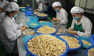 Việt Nam đặt mục tiêu vào tốp 15 nền nông nghiệp phát triển nhất thế giới