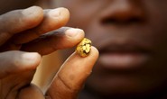 Tổng thống Ghana sợ Trung Quốc đào trộm vàng