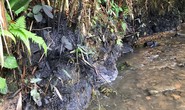 Nước sạch ở Hà Nội nghi nhiễm dầu